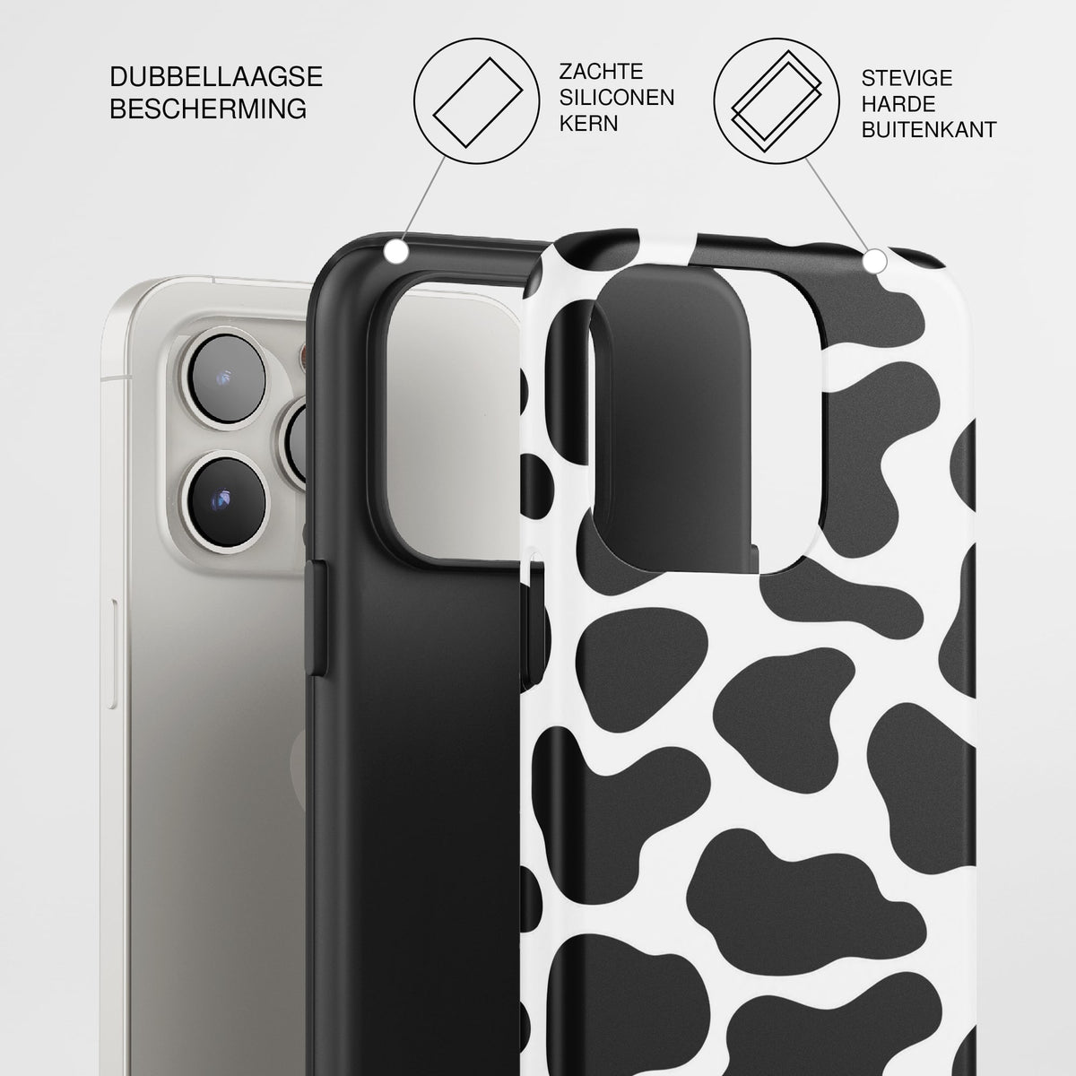 Rodeo — 02 product details