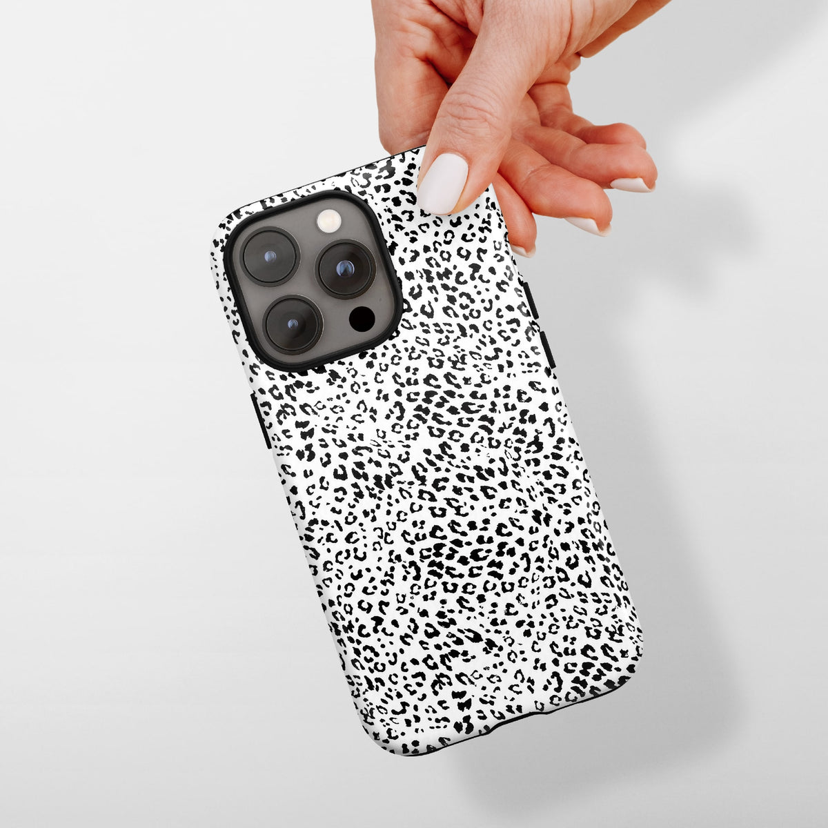 Snow Leopard — 03 in hand